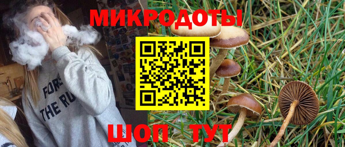 Галлюциногенные грибы GOLDEN TEACHER Березники