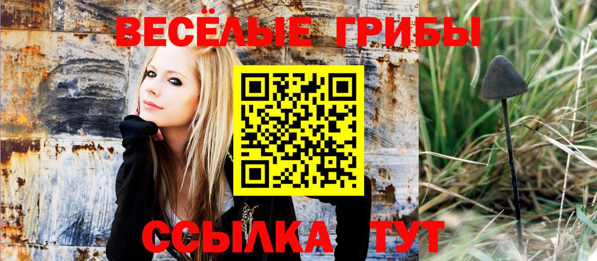 Галлюциногенные грибы MAGIC MUSHROOMS  Вход с VPN  Березники 